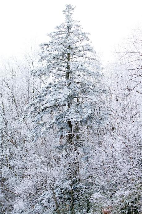 Quelques photos en passant… _MG_3304