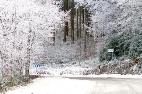 Quelques photos en passant… _MG_3267