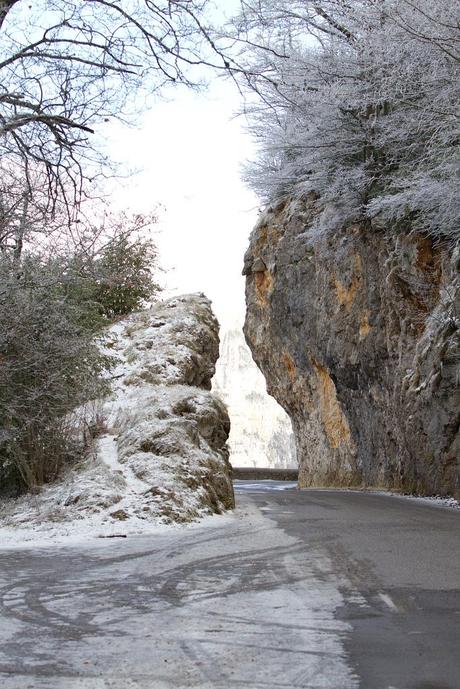 Quelques photos en passant… _MG_3306