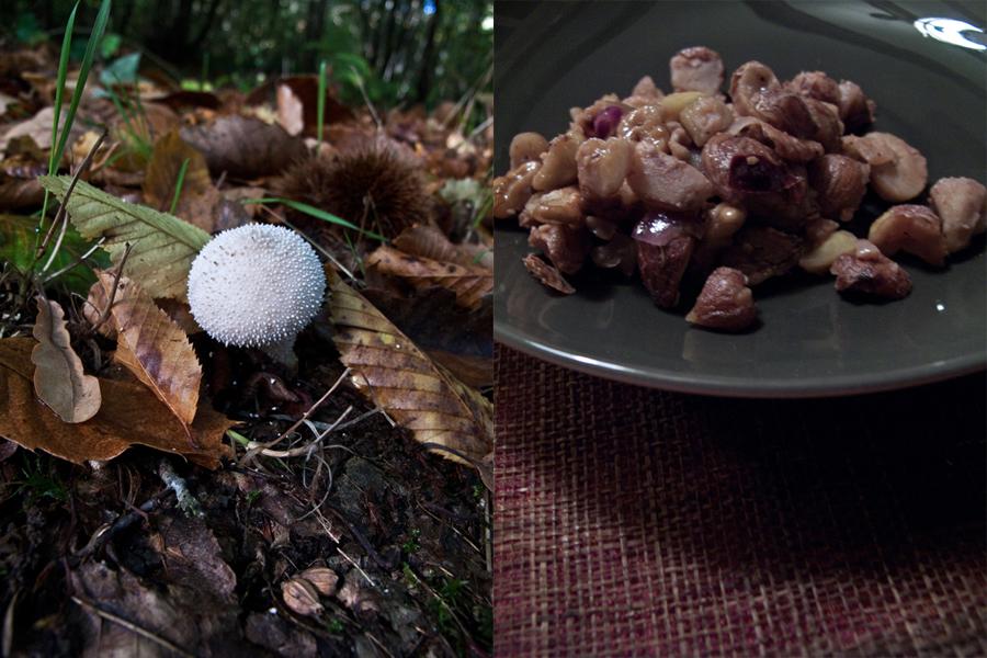 Le velouté de châtaignes aux noix