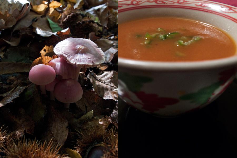 Le velouté de châtaignes aux noix