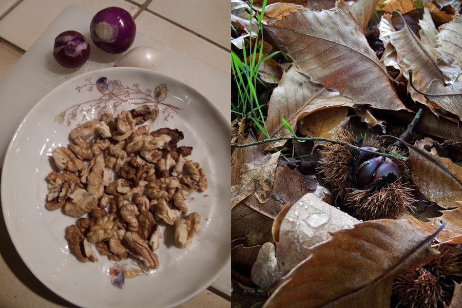 Le velouté de châtaignes aux noix