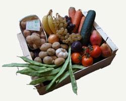 illustration_panier_maraicher