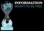 Wikileaks : quand le réalisme domine le monde