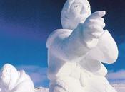 Carton, fin, soupe tôle