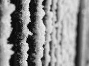 Premières neiges parisiennes