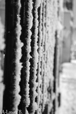 neige_paris_026_copie