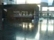 Quand Euratechnologies nous pose lapin