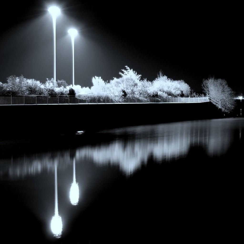 L’histoire de mon coeur