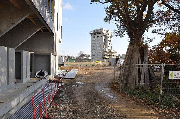 d.u.M.s la courrouze rennes 05