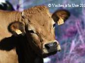 Brice arrête courir après Marine t'as gagné