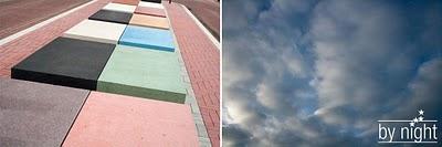 Un cerf sur la plage