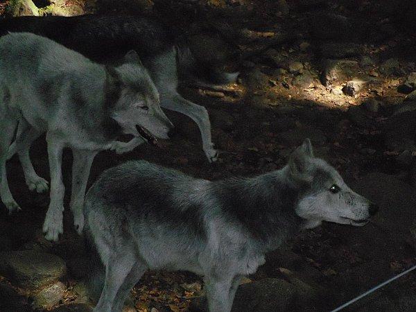 voyages et excurssions 193