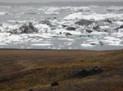Icebergs Islande
