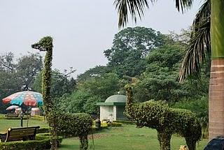 Un crocodile sur un banc de sable