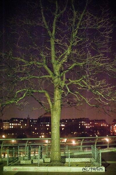 collectif Les Morts de la Rue-05