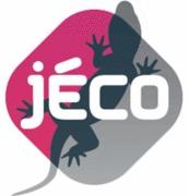 La vidéo du mercredi : Crises financières, les leçons de l'histoire