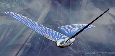 Avitron, le premier oiseau bionique Avitron, le premier oiseau bionique