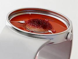 Montre biologique fertilization