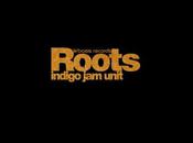 Video dayz indigo unit roots