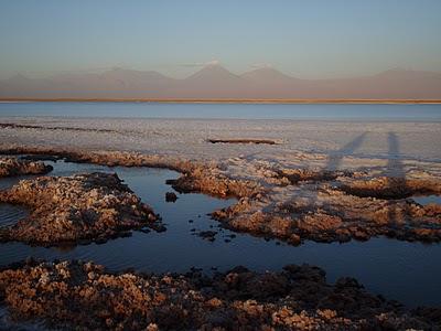 DESERT DE SEL : SALAR D'ATACAMA