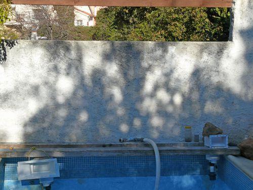 Réalisation d'un mur végétal : mon idée...