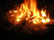 Feux (Jean-Baptiste Besnard)