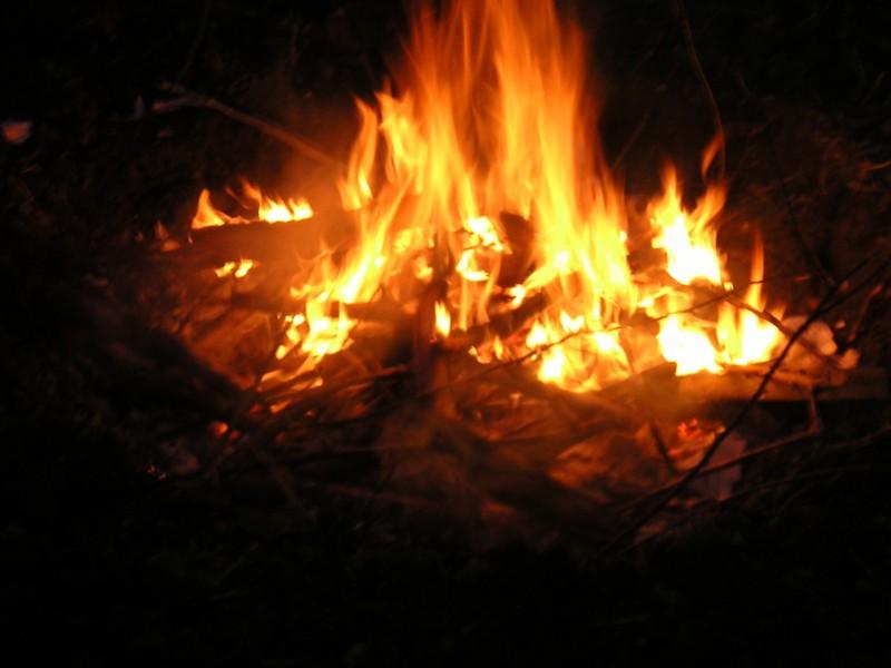 Feux (Jean-Baptiste Besnard)