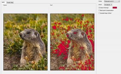 Astuce : le “soft proofing” dans Lightroom 3