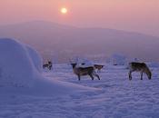 C'est vendredi Clic-Clac