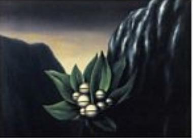 magritte-flerus-de-labime.1292554030.jpg