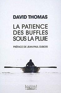 patience-des-buffles-09