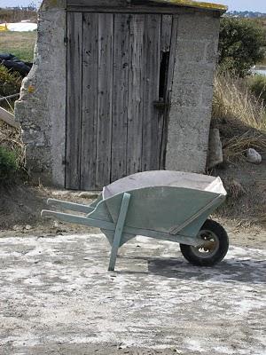 La Fleur de sel.    La fleur de sel est la mince couche d...