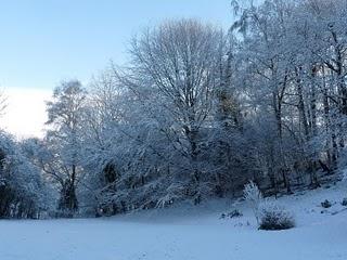 Pourquoi tant de beauté ?
