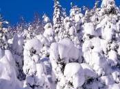 Vidéo paysages Suisse avec neige