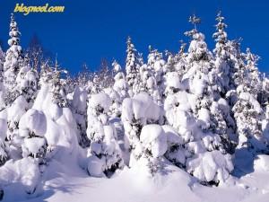 Vidéo des paysages Suisse avec la neige