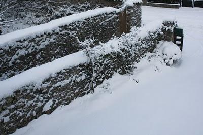 Encore un peu de neige..