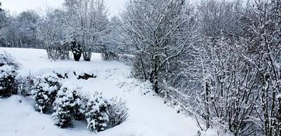 Encore un peu de neige..