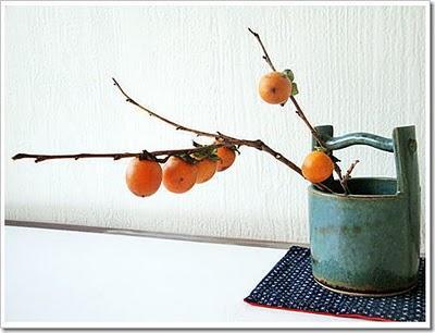 Kaki, un tout pour Noël