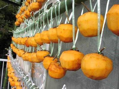 Kaki, un tout pour Noël