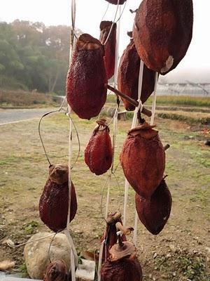 Kaki, un tout pour Noël