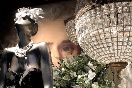 vitrines_noel_2010_074_copie