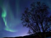 Magnifique aurore boréale norvégienne