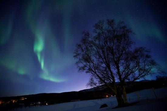Magnifique aurore boréale norvégienne