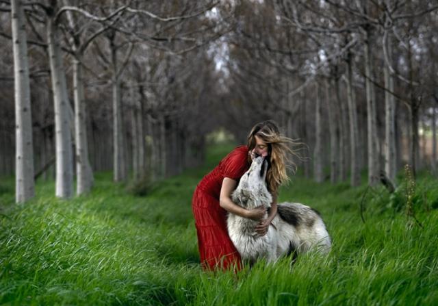 Photos de Shlomi Nissim