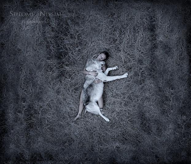 Photos de Shlomi Nissim