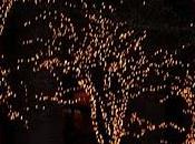 collection invisible