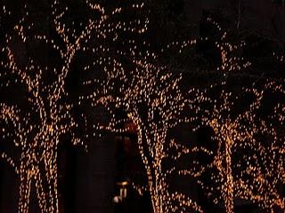 La collection invisible