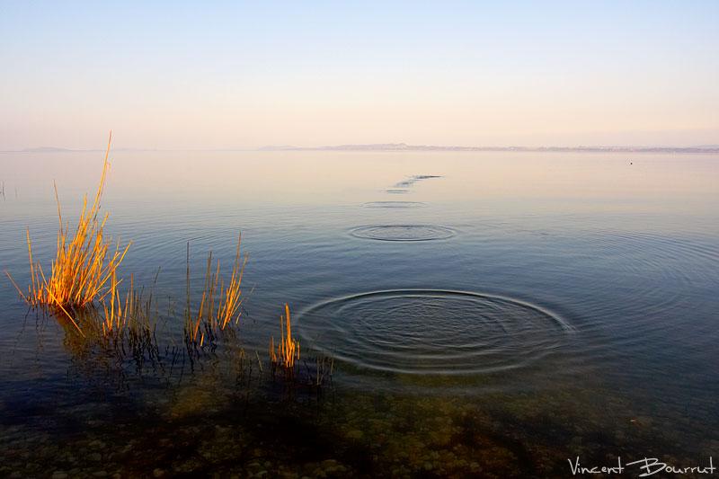 Je lance des cailloux transparents  (Jean-Baptiste Besnard)