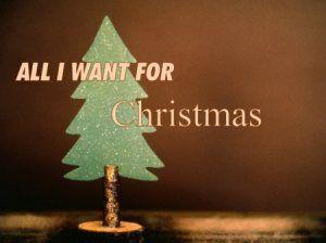 All I want for Christmas !!